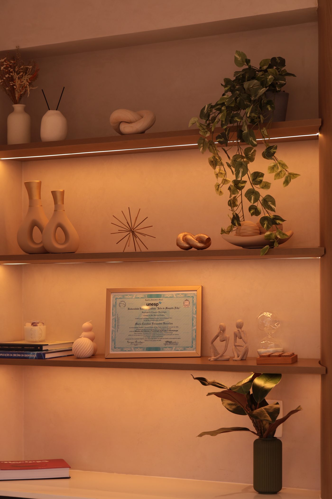 Nichos decorativos com plantas e objetos